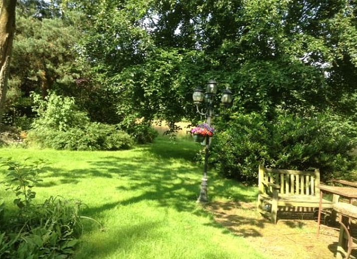 Weelderige tuin bij Vakantiehuis in Budel, omringd door natuur in Kempen, Noord Brabant.