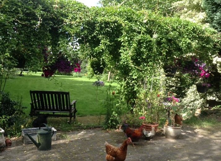 Weelderige tuin bij Vakantiehuis in Budel, omringd door natuur in Kempen, Noord Brabant.