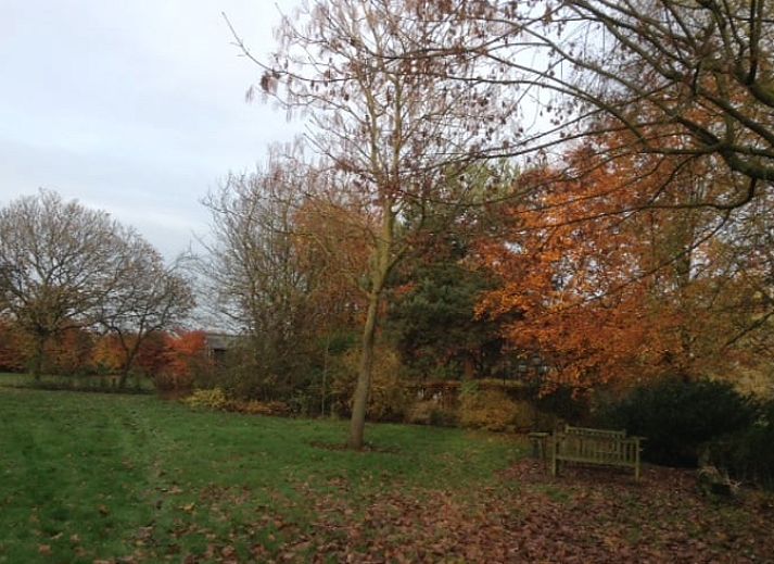 Weelderige tuin bij Vakantiehuis in Budel, omringd door natuur in Kempen, Noord Brabant.