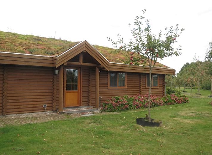 Unterkunft 410203 - Ferienhaus Kempen - Huisje in Valkenswaard