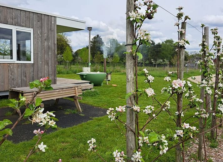 Unterkunft 410209 - Ferienhaus Kempen - Huisje in Valkenswaard