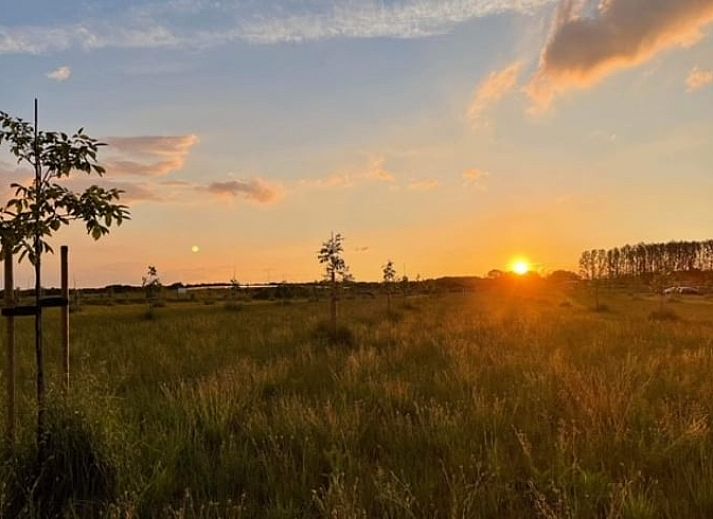 Unterkunft 410209 - Ferienhaus Kempen - Huisje in Valkenswaard