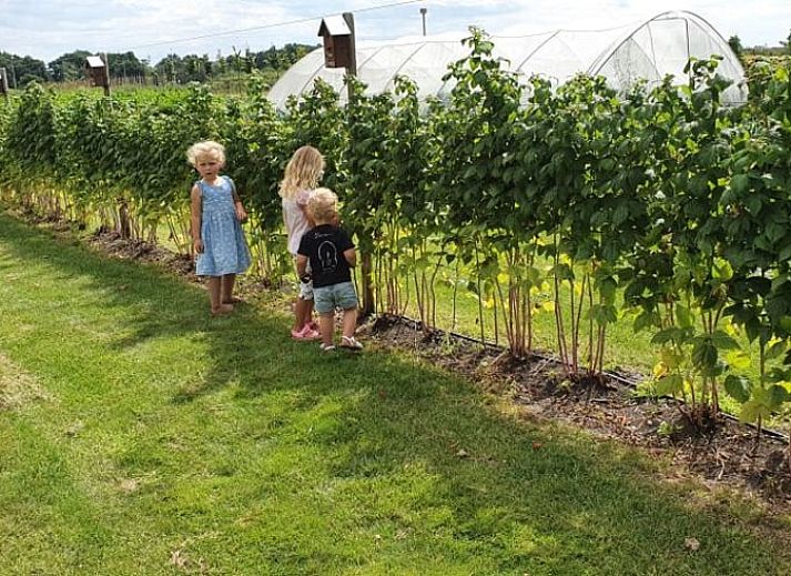 Unterkunft 410209 - Ferienhaus Kempen - Huisje in Valkenswaard