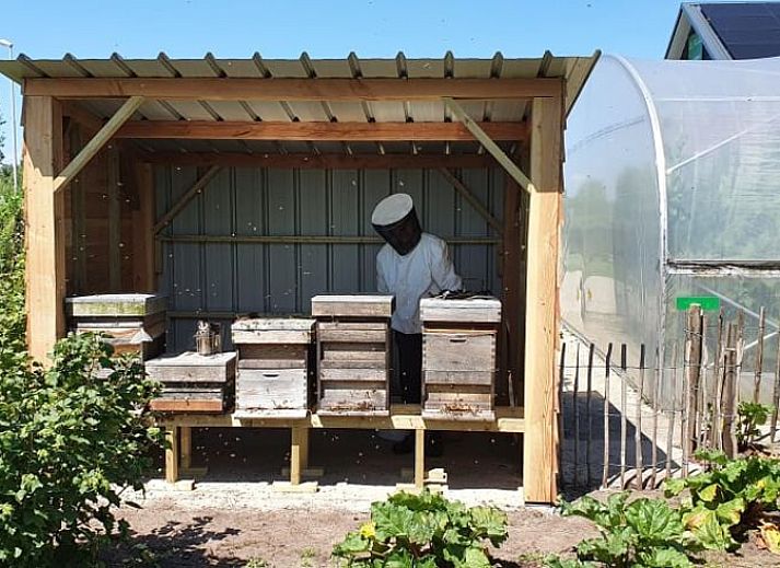 Unterkunft 410209 - Ferienhaus Kempen - Huisje in Valkenswaard