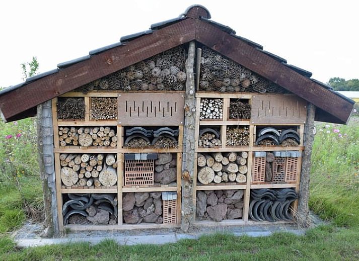 Unterkunft 410209 - Ferienhaus Kempen - Huisje in Valkenswaard