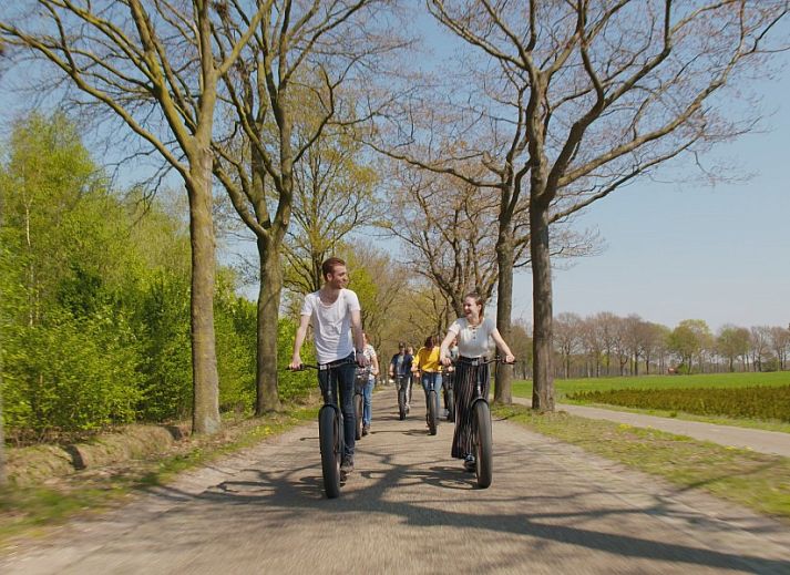 Verblijf 410305 - Vakantiewoning Kempen - De Schaapskooi