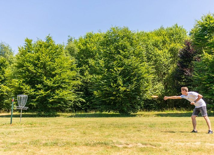 Playing field at Landgoed de Biestheuvel in Hoogeloon, ideal for activities in the nature of the Kempen.
