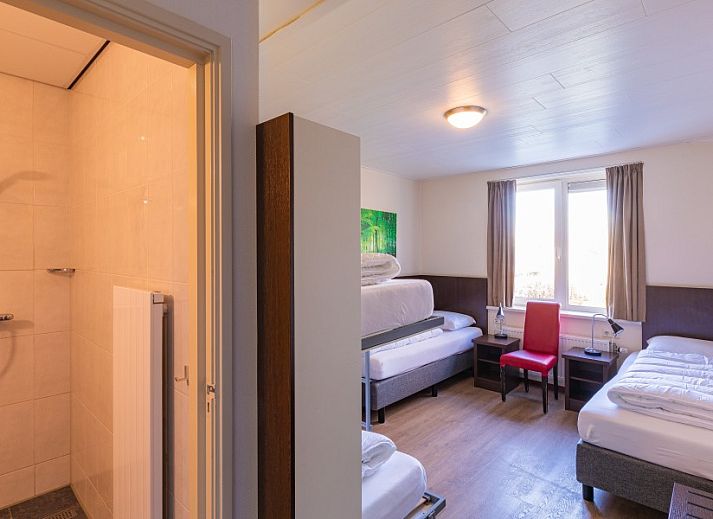 Sonnige Terrasse im Ferienhaus Voorhuis in Hoogeloon, Kempen, Nordbrabant.