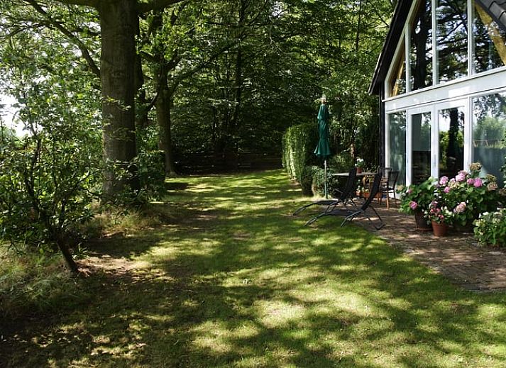 Vakantiehuisje in Lage Mierde met ruime glazen gevel, omgeven door natuur in de Kempen, Noord Brabant.