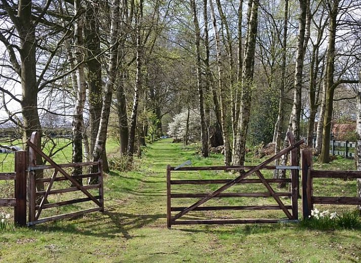 Vakantiehuisje in Lage Mierde met ruime glazen gevel, omgeven door natuur in de Kempen, Noord Brabant.