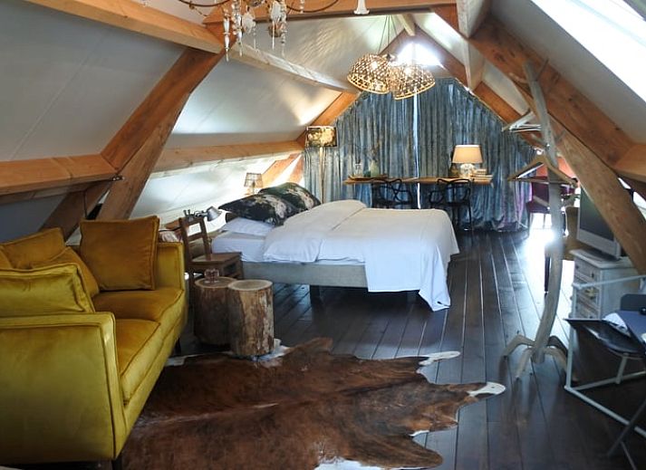 Groene tuin bij Vakantiehuisje in Lage Mierde, perfect voor ontspanning in de natuur van de Kempen, Noord Brabant.