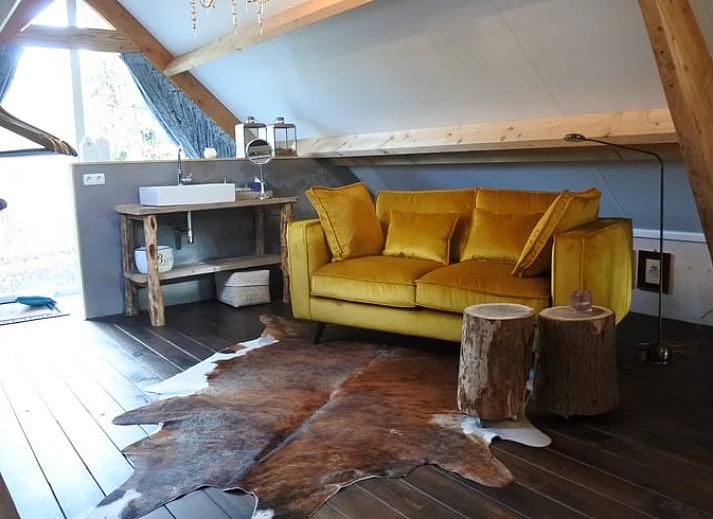 Groene tuin bij Vakantiehuisje in Lage Mierde, perfect voor ontspanning in de natuur van de Kempen, Noord Brabant.