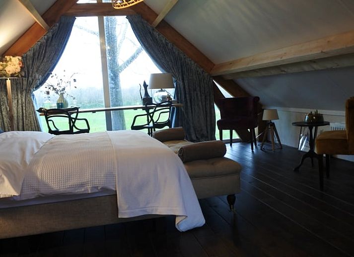 Groene tuin bij Vakantiehuisje in Lage Mierde, perfect voor ontspanning in de natuur van de Kempen, Noord Brabant.