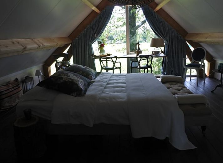 Groene tuin bij Vakantiehuisje in Lage Mierde, perfect voor ontspanning in de natuur van de Kempen, Noord Brabant.