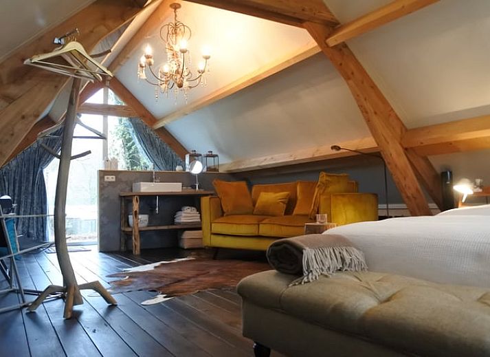 Bosrijke omgeving van Vakantiehuisje in Lage Mierde, een serene vakantiewoning in de Kempen, Noord Brabant.