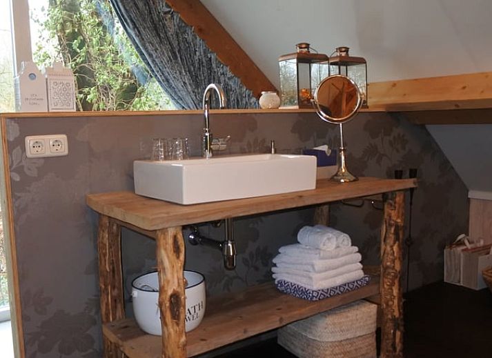 Bosrijke omgeving van Vakantiehuisje in Lage Mierde, een serene vakantiewoning in de Kempen, Noord Brabant.