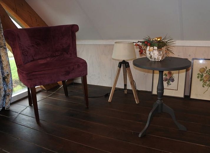 Bosrijke omgeving van Vakantiehuisje in Lage Mierde, een serene vakantiewoning in de Kempen, Noord Brabant.