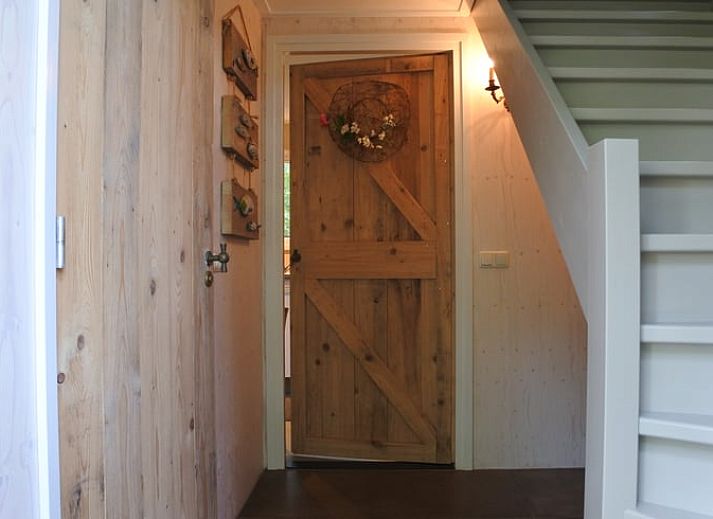 Bosrijke omgeving van Vakantiehuisje in Lage Mierde, een serene vakantiewoning in de Kempen, Noord Brabant.