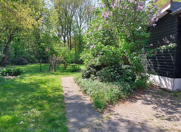 Guest house 410407 - Holiday property Kempen - Vakantiehuisje in Lage Mierde