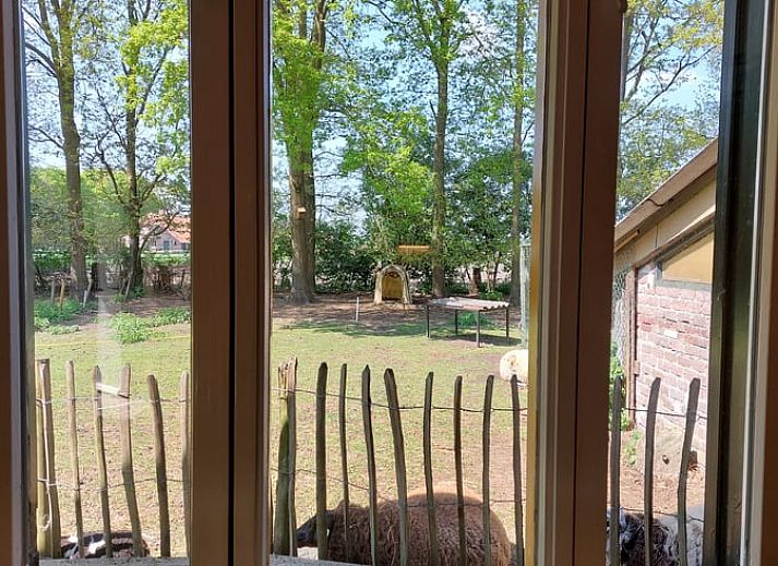 Guest house 410407 - Holiday property Kempen - Vakantiehuisje in Lage Mierde