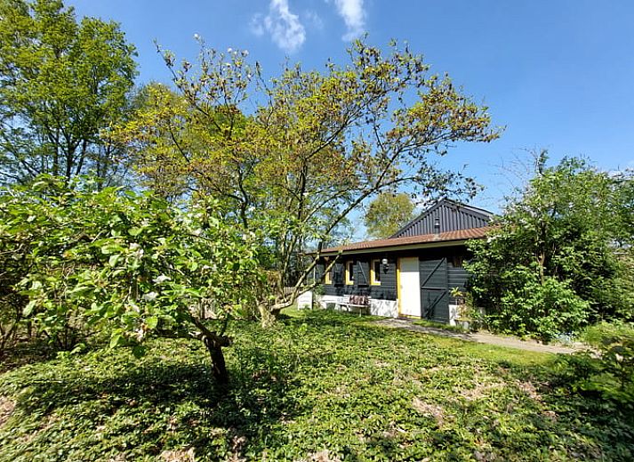 Guest house 410407 - Holiday property Kempen - Vakantiehuisje in Lage Mierde