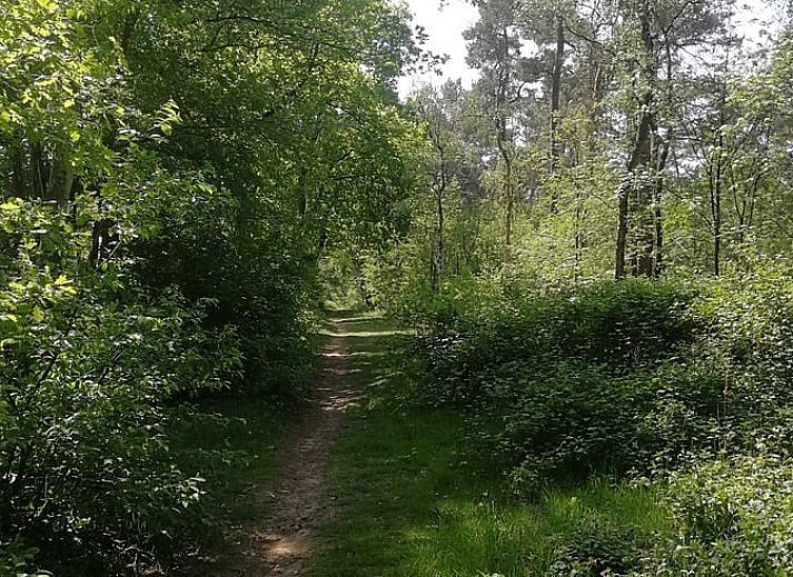 Gezellige binnenruimte met open haard in Huisje in Lage Mierde, Kempen, Noord Brabant.