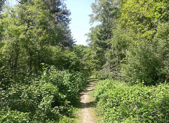Moderne keuken in Huisje in Lage Mierde, vakantiehuis in de Kempen, Noord Brabant.