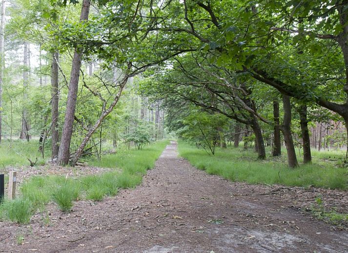 Spacious terrace at bungalow Quiet in nature, Lage Mierde, surrounded by greenery, ideal for outdoor dining in nature.