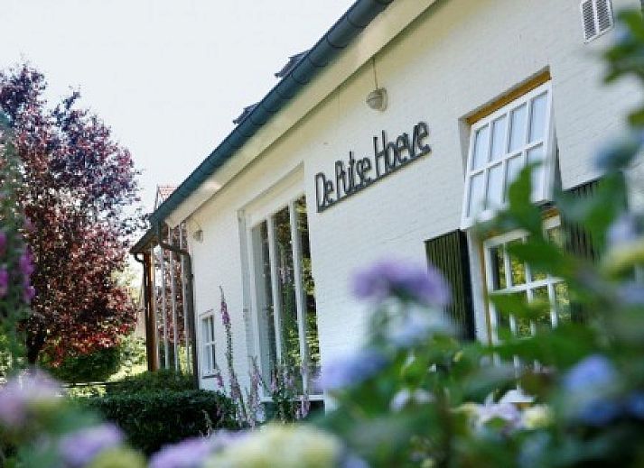 Verblijf 410502 • Vakantiewoning Kempen • De Putse Hoeve*****