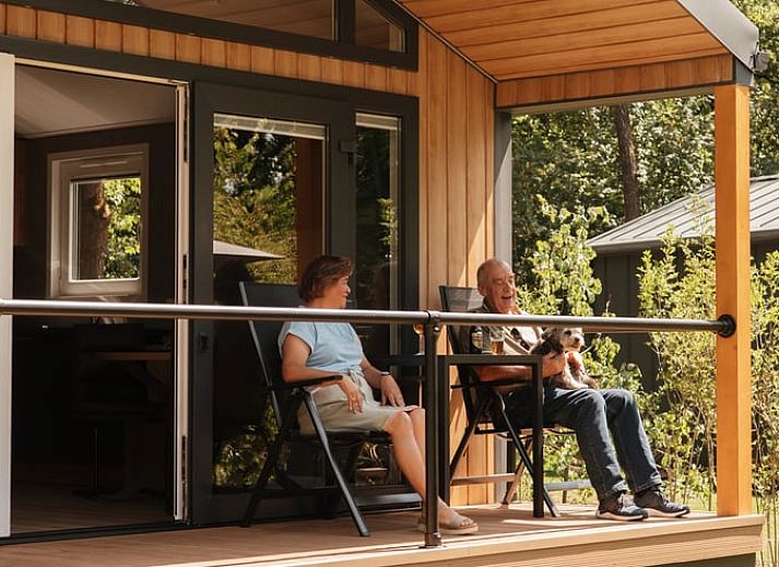 Ferienhaus in Bergeijk, ein charmantes Ferienhaus in der gruenen Natur von Kempen, Nordbrabant, mit einladender Terrasse und modernem Look.