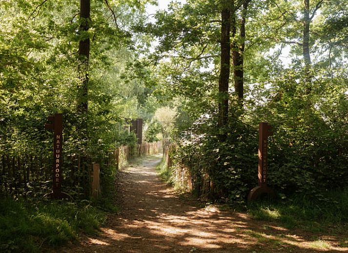 Geniessen Sie die Veranda des Huisje in Bergeijk, Ferienhaus im gruenen Kempen, Nordbrabant.