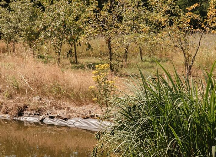 Moderne Kueche in Cottage in Bergeijk, einem Ferienhaus in den Kempen, Nordbrabant, mit stilvoller Einrichtung und Blick auf die Natur.