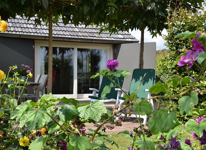 Geniet van de serene tuin bij Huisje in Baarle-Nassau, vakantiehuis in Noord Brabant, met prachtig uitzicht op de natuur.