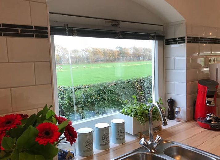 Geniet van de serene tuin bij Huisje in Baarle-Nassau, vakantiehuis in Noord Brabant, met prachtig uitzicht op de natuur.