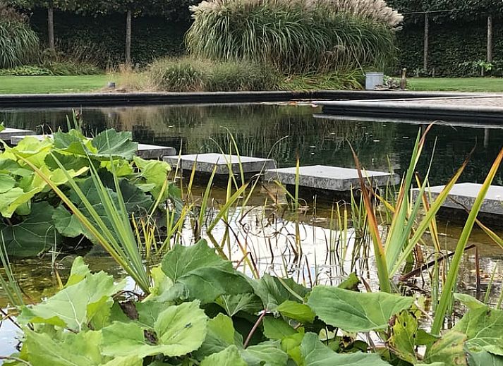 Geniet van de serene tuin bij Huisje in Baarle-Nassau, vakantiehuis in Noord Brabant, met prachtig uitzicht op de natuur.