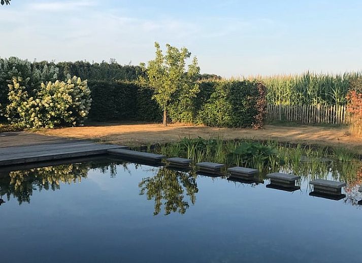 Ontspan op de veranda van Huisje in Baarle-Nassau, vakantiehuis in Noord Brabant, omringd door kleurrijke bloemen.