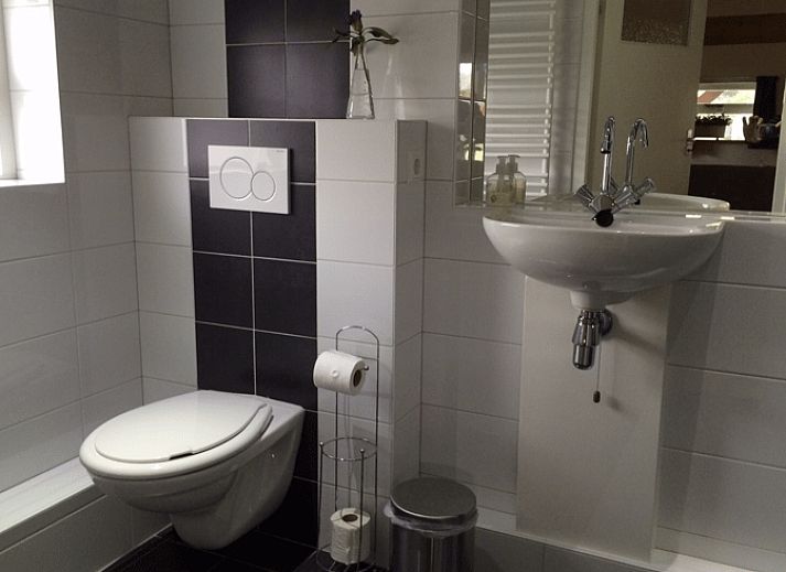 Ontspan op de veranda van Huisje in Baarle-Nassau, vakantiehuis in Noord Brabant, omringd door kleurrijke bloemen.