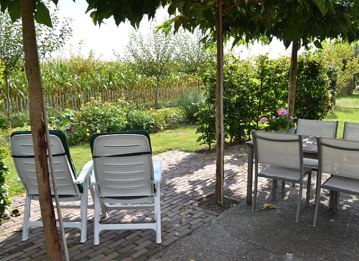 Keukenraam met uitzicht op groene velden bij Huisje in Baarle-Nassau, vakantiewoning in Kempen.