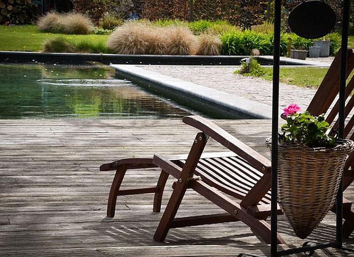 Natuurlijke zwemvijver in de tuin van Huisje in Baarle-Nassau, vakantiehuis in Noord Brabant.
