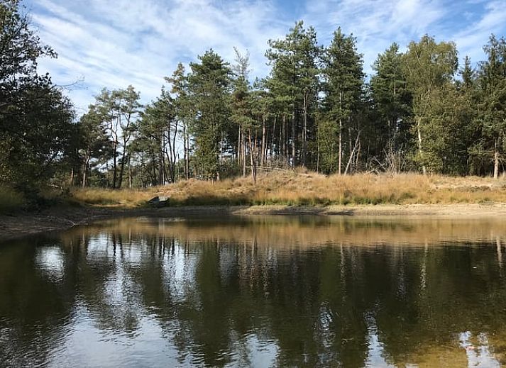 Natuurlijke zwemvijver in de tuin van Huisje in Baarle-Nassau, vakantiehuis in Noord Brabant.