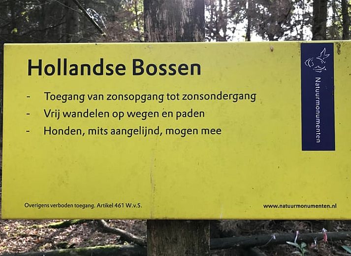 Natuurlijke zwemvijver in de tuin van Huisje in Baarle-Nassau, vakantiehuis in Noord Brabant.