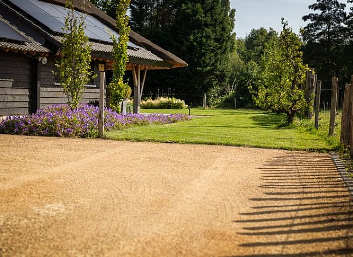 Rustieke buitenkant van Vakantiehuis in Baarle-Nassau met rieten dak en groene tuin in Noord Brabant.