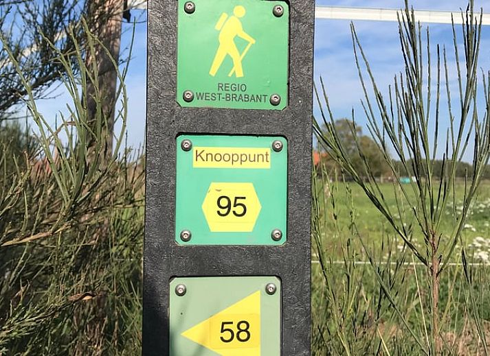 Veranda des Ferienhauses in Baarle Nassau, umgeben von Natur in Kempen, Nordbrabant.