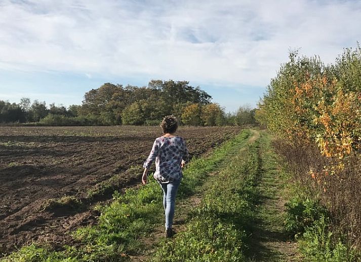 Naturteich beim Ferienhaus in Baarle Nassau, einer Oase der Ruhe in Kempen, Nordbrabant.
