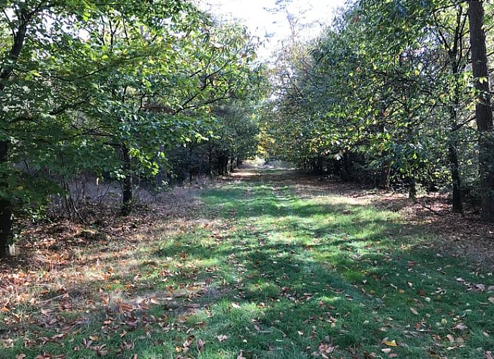 Naturteich beim Ferienhaus in Baarle Nassau, einer Oase der Ruhe in Kempen, Nordbrabant.