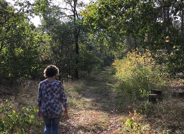 Zugangsschild Hollandse Bossen in der Naehe des Ferienhauses in Baarle Nassau, ideal fuer Wanderungen in Nordbrabant.