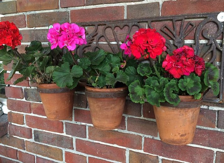 Zugangsschild Hollandse Bossen in der Naehe des Ferienhauses in Baarle Nassau, ideal fuer Wanderungen in Nordbrabant.