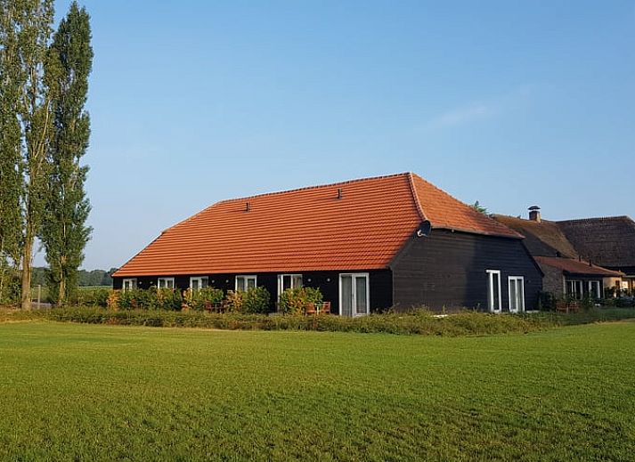 Gezellig terras bij Vakantiehuis in Baarle-Nassau, ideaal voor ontspanning in de Kempen, Noord Brabant.