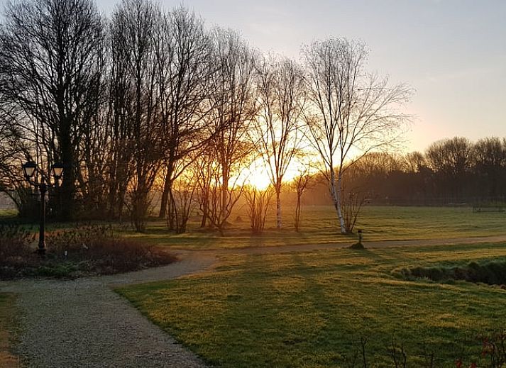 Gezellig terras bij Vakantiehuis in Baarle-Nassau, ideaal voor ontspanning in de Kempen, Noord Brabant.