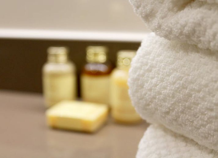 Colorful butterfly in the garden of vacation home in Baarle-Nassau, surrounded by flowering nature in North Brabant.